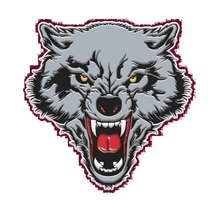 Dilley Wolves Boys Basketball Area Round Playoff Game