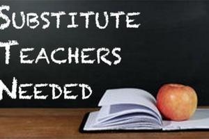 Substitute Training