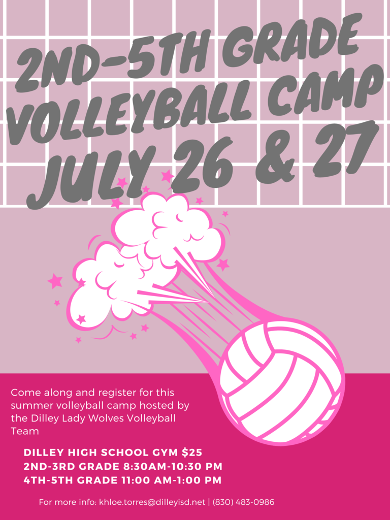 volleyball flyer