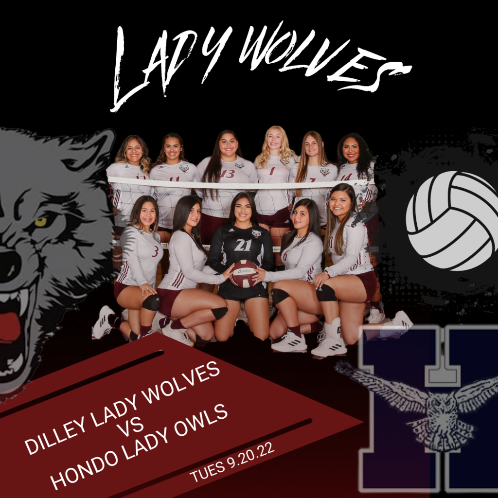 volleyball flyer