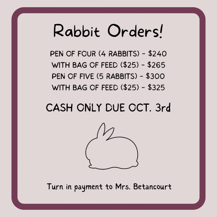 rabbits orders